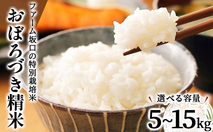 
            ＜選べる容量＞令和7年産!ファーム坂口の特別栽培米 おぼろづき精米 5kg~15kg | 北海道岩見沢産 おぼろづき 玄米 5kg 10kg 15kg 北海道 岩見沢市
          