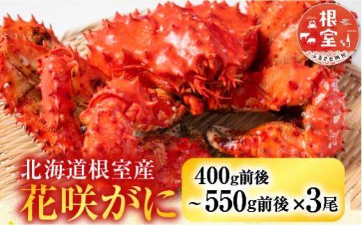 B-36015 【北海道根室産】花咲かに400g前後～550g前後×3尾
