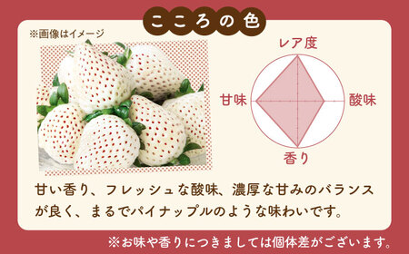 【先行予約】新品種  白石町産 白いちご 「こころの色」 220g×2パック 【鐘ヶ江農園】[IBH016]