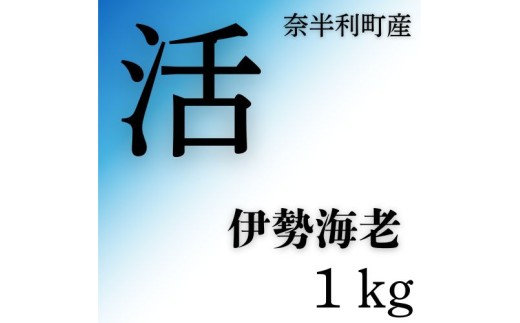 133004　活　伊勢海老(1kg)