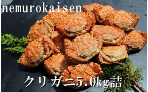 D-57031 【北海道根室産】クリガニ200～250g×20～25尾(計5.0kg)