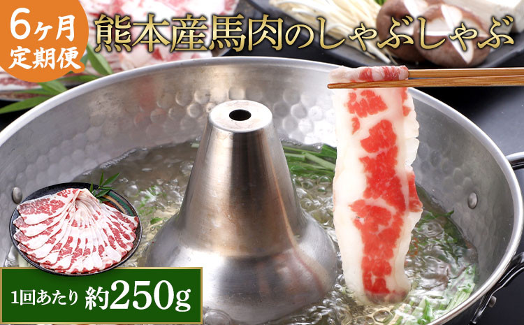 
【6か月定期便】熊本産 馬肉 しゃぶしゃぶ 約250g
