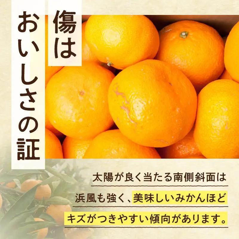 【2026年先行予約】家庭用 大きな有田みかん約5kg+250g（傷み補償分）【わけあり・訳あり】【光センサー選果】_ZH7117