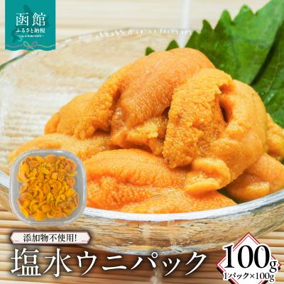 ふるさと納税 函館市 添加物不使用!塩水ウニパック(100g)_HD149-019