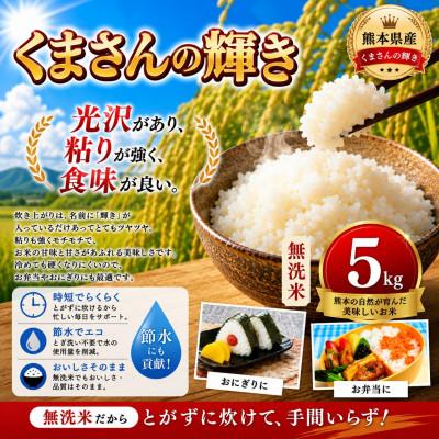 ふるさと納税 玉名市 【毎月定期便】熊本県産 くまさんの輝き 無洗米 5kg全3回