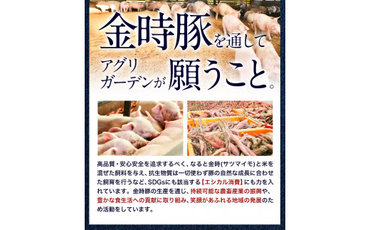 【出回らないからこそ価値がある！】豚肉 阿波 金時豚 切り落とし 大容量 2.4kg アグリガーデン 《30日以内に出荷予定(土日祝除く)》豚肉 ブランド豚 肉 小分けパック 送料無料 徳島県 上板町