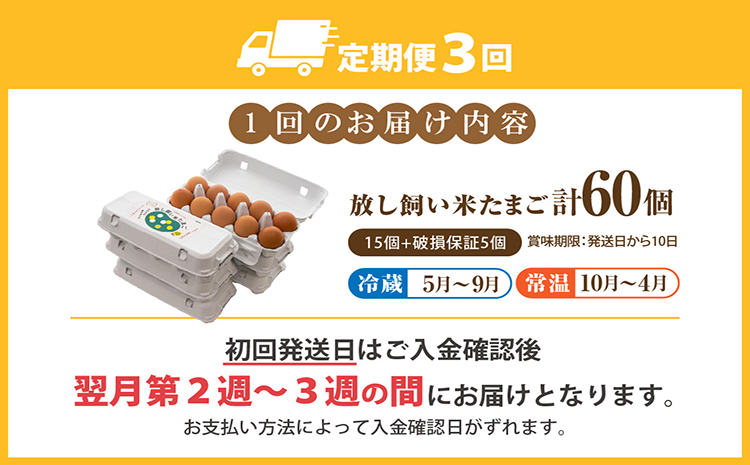 【3か月定期便】放し飼い米たまご55個+5個保証（計60個）