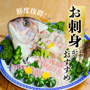 タイ 神経締め 2尾 計約4kg 鯛 たい 真鯛 マダイ 鮮魚 産地直送 冷蔵 養殖 国産