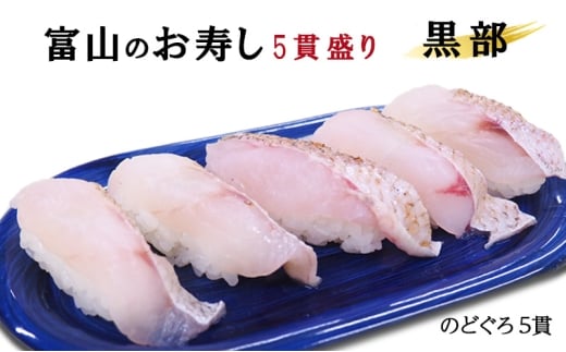 [№5313-0514]富山のお寿し5貫盛り「黒部」のどぐろ5貫 お寿司 魚貝類 