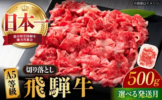 【1月発送】【飛騨牛】 切り落とし 500g 和牛 ブランド牛 国産 牛肉 多治見市 / 渡辺精肉店 [TAZ004-1