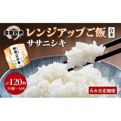 ふるさと納税 岩沼市 【令和7年産】6ヵ月定期便 ササニシキ レンジアップごはん 20個[No.5704-0942]