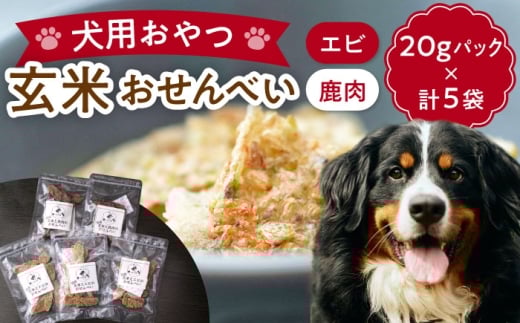 【ペット用おやつ】 《無添加》 玄米×エビ＆鹿肉のミックスおやつセット (計5個) 多治見市 / こなき屋 国産 犬用 おせんべい おやつセット [TEM005]