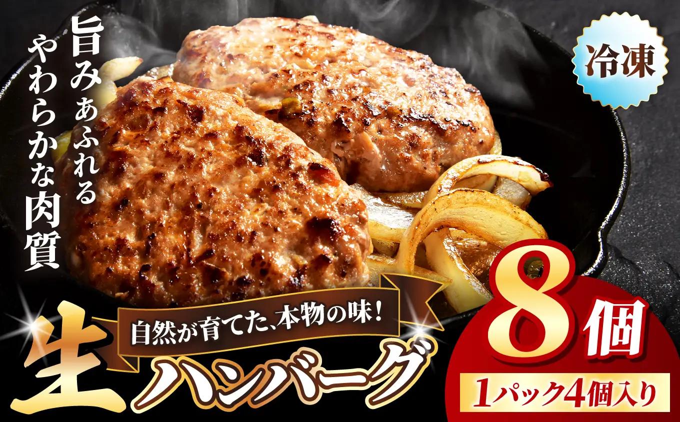 冷凍 ハンバーグ 生8個入り ( 2パック ) | お肉 肉 豚肉 白豚 お惣菜 惣菜 おかず 簡単調理 国産 九州産 大分県産 大分県 中津市