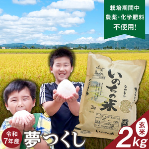 令和7年産夢つくし（玄米）2kg中村農園いのちの米_令和7年産 夢つくし 2kg 玄米 いのちの米 つややか 光沢 もちもち 食感 粘り 甘み ビタミン ミネラル 食物繊維 国産 米 新米 ブランド米 ご飯 おにぎり おむすび 弁当 主食 食品 食べ物 グルメ お取り寄せ お取り寄せグルメ 福岡県 久留米市 送料無料 〔Gr062〕