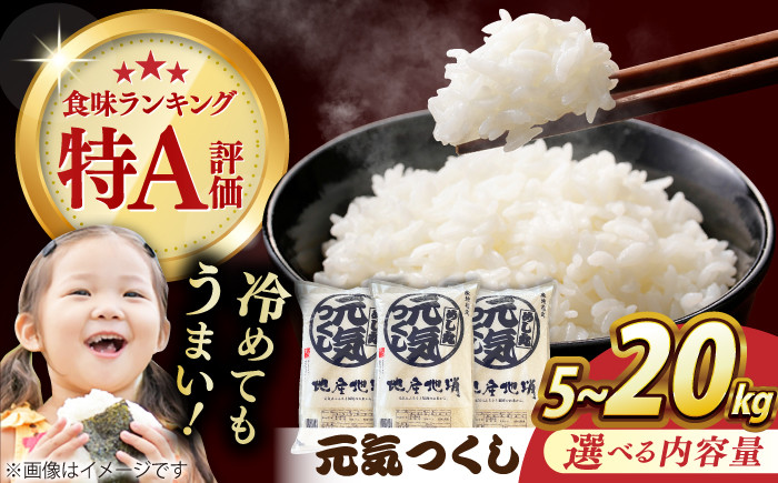 
【選べる容量】【令和5年産】元気つくし 5kg～20kg 米 こめ コメ お米 ご飯 ごはん 精米 白米 新米 ライス 元気つくし 県産米 国産米 ブランド米 福岡 めし丸 広川町 / JAふくおか八女農産物直売所どろや [AFAB063-066]
