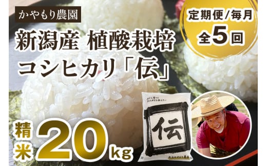 【令和7年産】【定期便5ヶ月毎月お届け】新潟産コシヒカリ「伝」 真空パック 精米 20kg（5kg×4）《9月下旬～順次出荷》 南麻布の高級料亭で提供される極上米 かやもり農園 新潟県 加茂市産 白米 米 お米 定期便