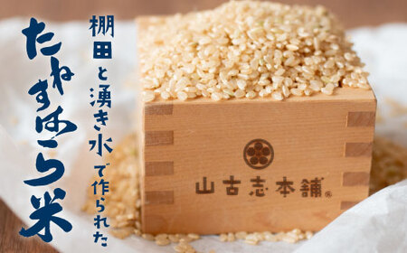 G3-10旧山古志村のこしひかり「たねすはら米」玄米5kg（新潟県産コシヒカリ）