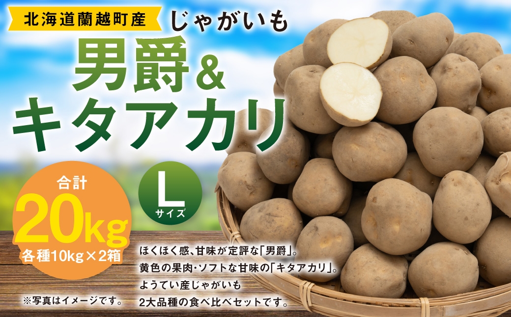 
                  じゃがいも （ 男爵 ） Lサイズ 約10kg × 1箱 ・ じゃがいも （ キタアカリ ） Lサイズ 約10kg × 1箱 （ JA ） 計約20kg ジャガイモ ポテト いも イモ 芋 男爵イモ 野菜 やさい 食べ比べ 詰め合わせ セット 国産 北海道産 【 2026年9月下旬～12月下旬迄発送予定 】
                