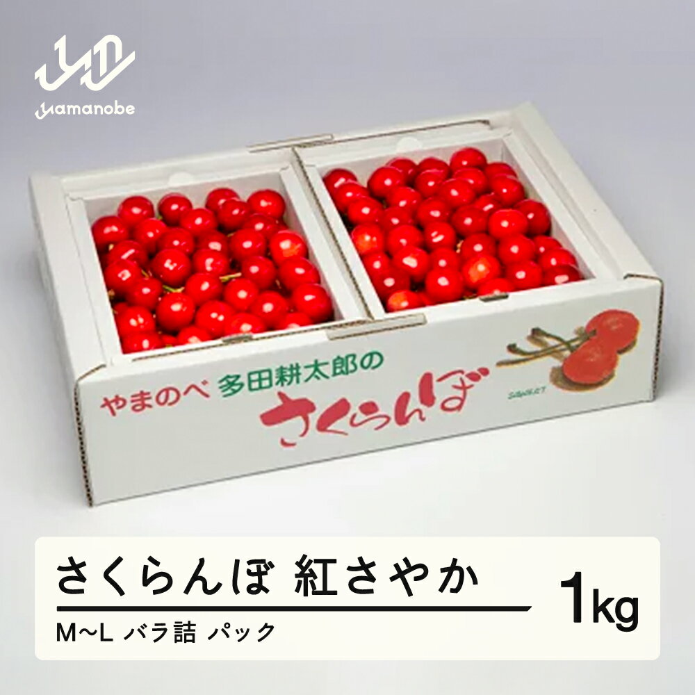 【ふるさと納税】 《先行予約》2026年 山形県産 紅さやか バラ詰め(パック）1kg M~L やまのべ多田耕太郎のさくらんぼ 送料無料 F20A-037