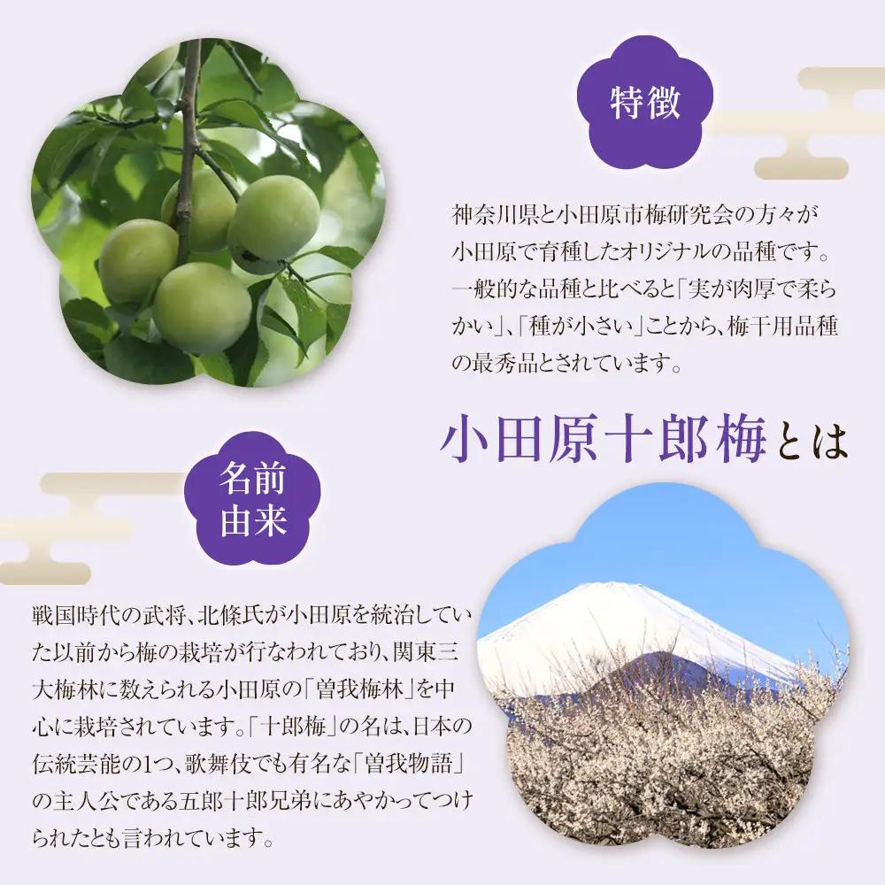 【小田原のブランド梅の大粒梅干し】雲上５個入り【 梅干し 神奈川県 小田原市 梅干し】