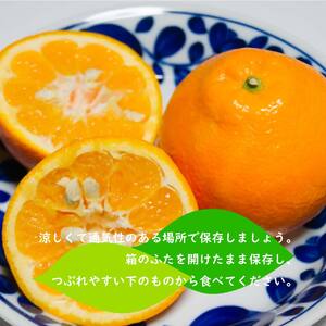【2026年1月下旬ごろ順次発送】 伊予柑 いよかん 約 5kg 愛媛 興居島 柑橘 糖度 別名 宮内伊予柑【SHM005】