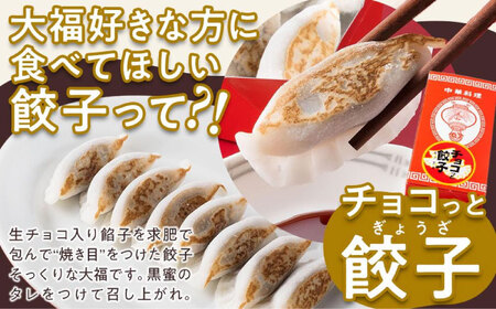 たこ焼きにしか見えないシュークリーム＋チョコっと餃子[BADH007]チョコレート