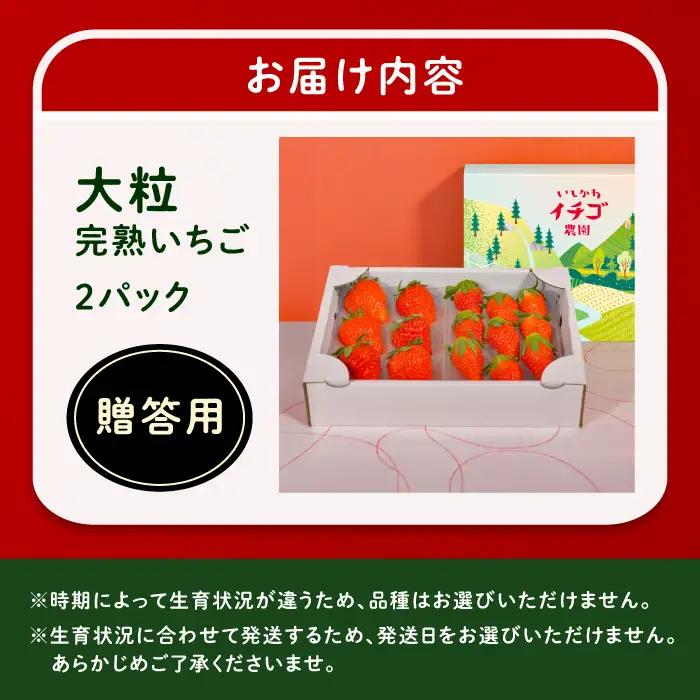 【先行予約】完熟 大粒 いちご 2パック(贈答用) / 恵那市 / クリエイティブファーマーズ [AUAH021] いちご
