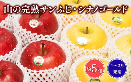 りんご 山の完熟サンふじ・シナノゴールド 約5kg 青森県平川市 [hi-0010-007]
