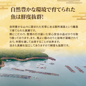 【セット】S106-042_選べる真鯛の晩酌セット（真鯛のカマ・刺身用サク・鯛のかつ）