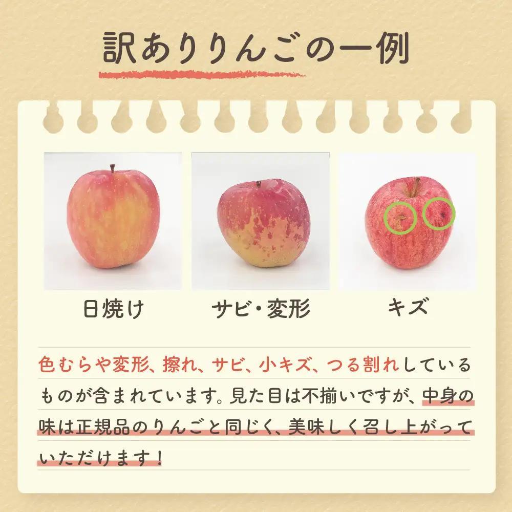 【2027年1月中旬発送】【訳あり】 りんご 約5kg 青森県産 サンふじ 家庭用 りんご