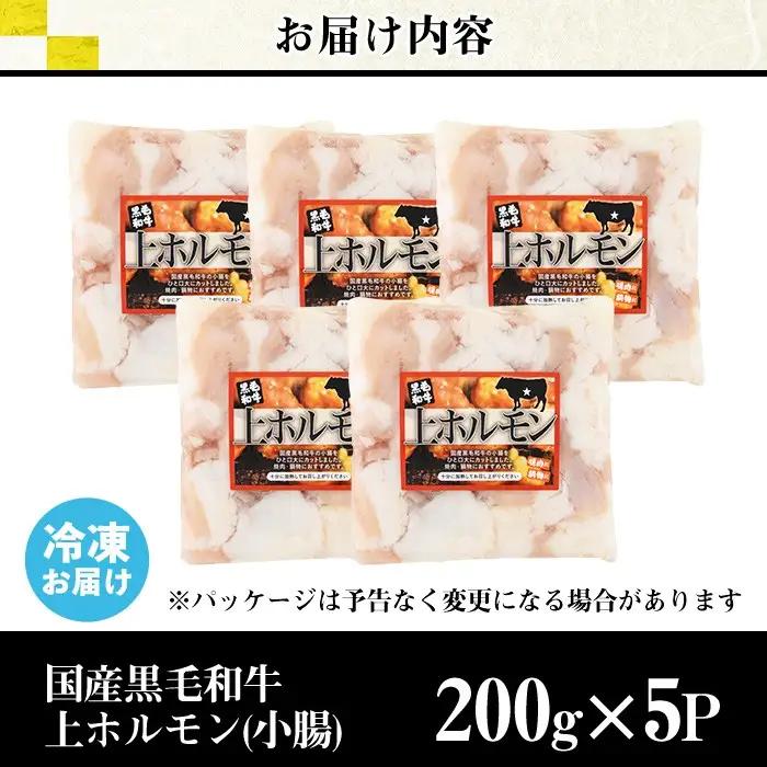 ホルモン 黒毛和牛 上ホルモン (計1kg) 【LRプラスK】 No.1001-02