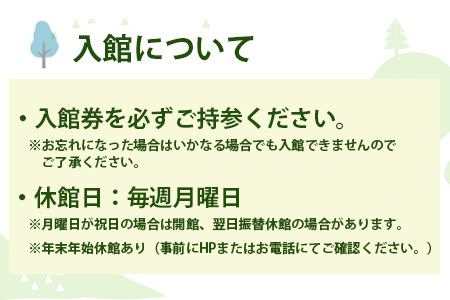 【入館券】那賀町山のおもちゃ美術館【子供１名（小学生～中学生）】 CA-5 徳島 那賀 おもちゃ美術館 おもちゃ 美術館 チケット 入場券 知育 木育 遊べる美術館 体験 体験型 こども 子供 子ども