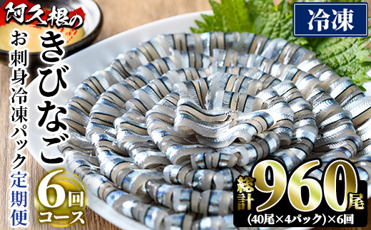 ＜定期便・全6回(冷凍便)＞鹿児島県産！阿久根のきびなごお刺身セット(計960尾・40尾×4P×6回)冷凍 魚介類 海鮮 魚 きびなご キビナゴ 刺身 さしみ 刺し身 青魚 子魚 小分け【椎木水産】akn054-15