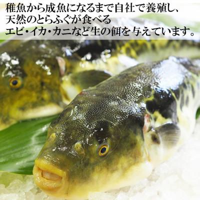 ふるさと納税 杵築市 大分水産の豊後とらふぐ料理セット2人前(冷凍) |  | 01