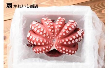 【かねいし商店】タコ 蒸したこ 1尾 約1kg