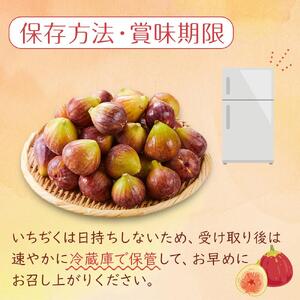 【尾道特産・秋の味覚！しまのいちぢく】瀬戸内・因島の蓬莱柿（ほうらいし）約320g×4パック【9月より配送】