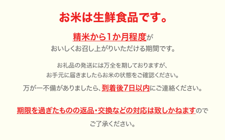 新米 米 15kg 5kg×3 はえぬき 玄米 令和6年産 2024年産 山形県産 ※沖縄・離島への配送不可 mk-haxxb15-g