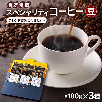 ふるさと納税 枚方市 自家焙煎スペシャリティコーヒー　ブレンド詰め合わせセット　(豆)