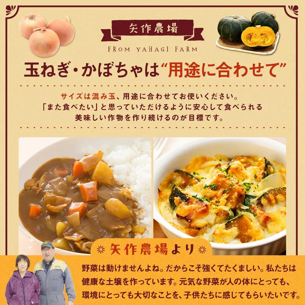 【先行受付】R8年産 有機栽培玉ねぎ・かぼちゃセット 合計20kg | 玉ねぎ たまねぎ タマネギ 玉葱 かぼちゃ カボチャ 南瓜 セット 詰め合わせ 大容量 オニオン パンプキン 甘い 有機栽培 国