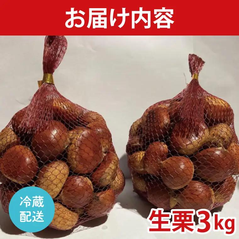 【2026年9月中旬より順次発送】石岡市鶴沼の栗（生栗）3kg（茨城県共通返礼品/石岡市）（KN-6）
