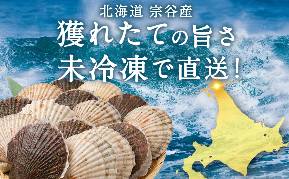 【先行受付】宗谷漁協発!産地直送!活ほたて約3kg（13～15枚入）