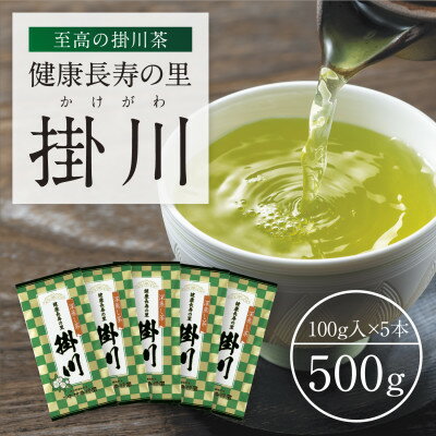 【ふるさと納税】特上深蒸し掛川茶「健康長寿の里 掛川」100g×5本セット【配送不可地域：離島・沖縄県】【1650540】