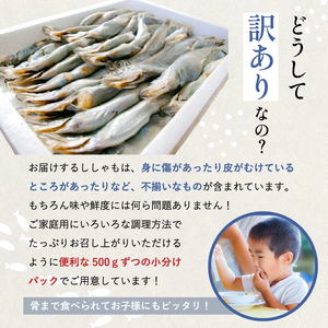 訳あり ししゃも 子持ちシシャモ 1.5kg （500g×3袋） 傷 小分け mi0012-0116