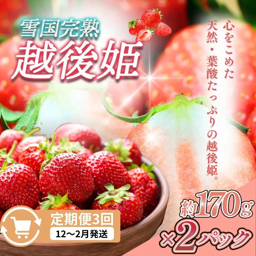 【先行予約 定期便3回】越後姫 いちご 雪国完熟 12〜2月 170g×2回 いちご