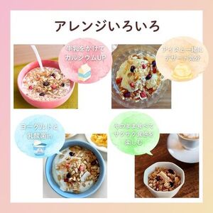 アクティブシニア向けシリアル 12個セット（A39）