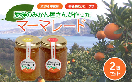 みかん マーマレード 150g×2 | 無添加 柑橘 ミカン ギフト 愛媛県 松山市 ジャム ジャム ジャム ジャム【OF0061】