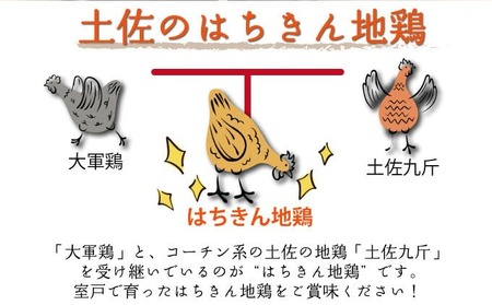 鶏肉 もも肉 はちきん地鶏 カット済 1kg [ag026] 鶏肉