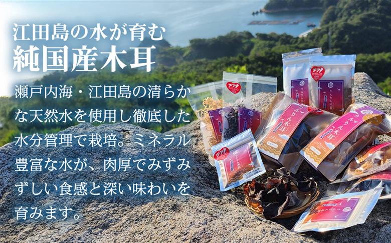 【カット済みで調理しやすい】乾燥きくらげ（スライス）(10g×5袋)　1セット きくらげ 粉末 乾燥きくらげ パウダー スライス ホール 国産 詰め合わせ 食物繊維豊富 料理用 スープ 食材 江田島産