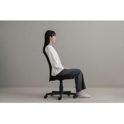 ふるさと納税 大河原町 オフィスチェア  メッシュバックチェア  ブラック アイリスオーヤマ[53752659] |  | 02