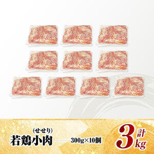 宮崎県産若鶏　小肉(せせり)3㎏（300g×10） 【 鶏肉 鶏 小肉 せせり 肉 宮崎県産 小分け パック 送料無料 】